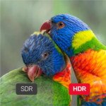 UNITEK DISPLAY PORT 1.4 KABLO 2MT 8K (C1624BK-2M) - Görsel 7